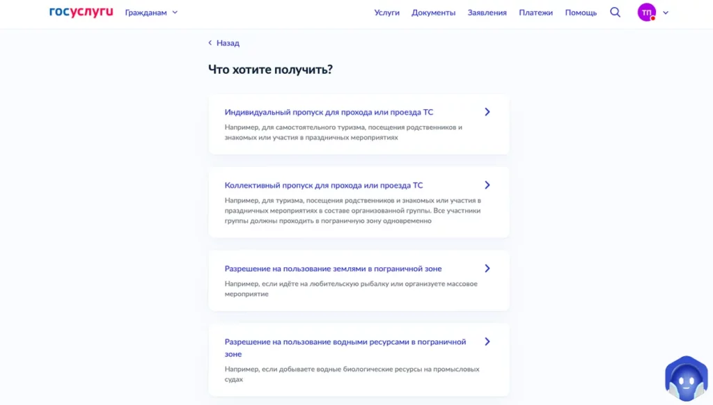 Скриншот Госуслуг: выбор индивидуального пропуска в пограничную зону