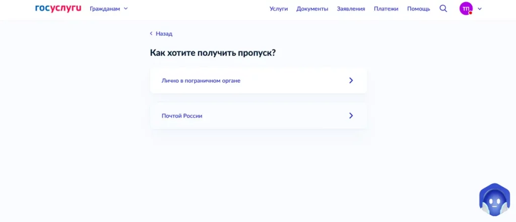 Скриншот Госуслуг: выбор способа получения пропуска